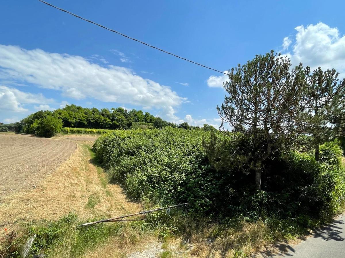 Casa Loredana - Graziosa Casa Vacanze Sul Lago Di Garda Daire Cavalcaselle Dış mekan fotoğraf